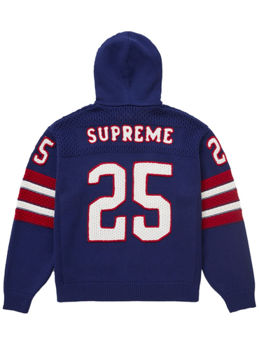 Supreme Sport Zip Up Hooded Sweater (fw25) Blue
