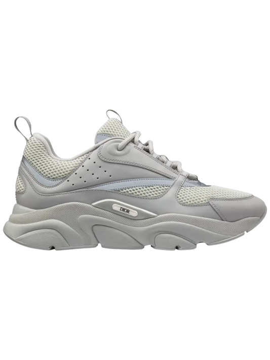Dior B22 Grey
