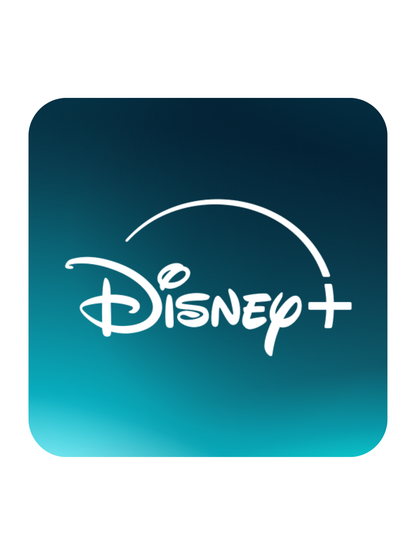Disney+ 12 Months